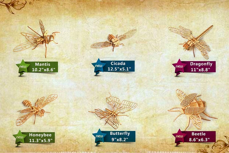 i-CHONY 3D Wooden Insect Puzzle - 6 Piece Set Insect Animal Skeleton Assembly Model Puzzle - DIY Wooden Crafts 3D Puzzle - Wood Toys Gifts for Adults & Teens Birthday Gifts Christmas - Image 2